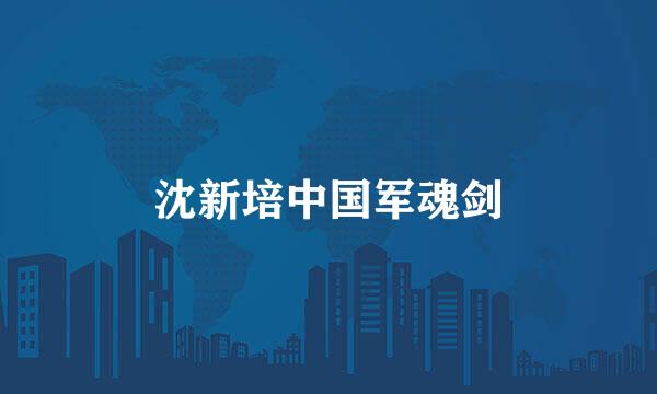 沈新培中国军魂剑