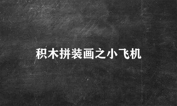 积木拼装画之小飞机
