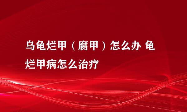 乌龟烂甲（腐甲）怎么办 龟烂甲病怎么治疗