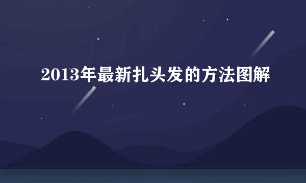 2013年最新扎头发的方法图解