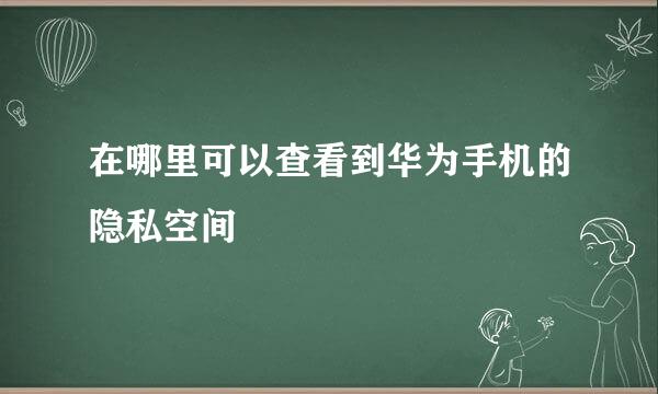 在哪里可以查看到华为手机的隐私空间
