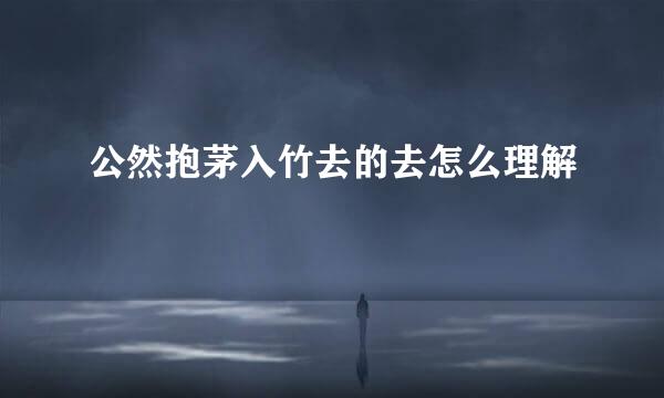 公然抱茅入竹去的去怎么理解