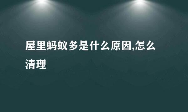 屋里蚂蚁多是什么原因,怎么清理