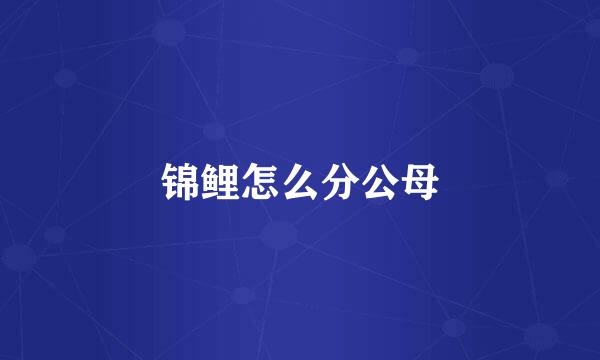 锦鲤怎么分公母