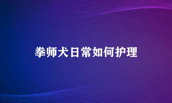 拳师犬日常如何护理