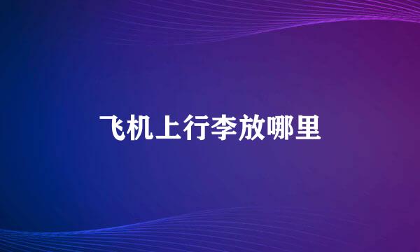 飞机上行李放哪里