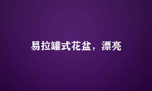 易拉罐式花盆，漂亮