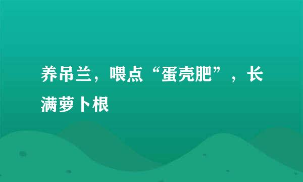 养吊兰，喂点“蛋壳肥”，长满萝卜根