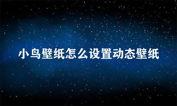 小鸟壁纸怎么设置动态壁纸