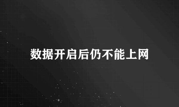 数据开启后仍不能上网