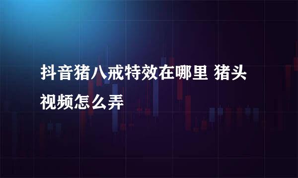 抖音猪八戒特效在哪里 猪头视频怎么弄