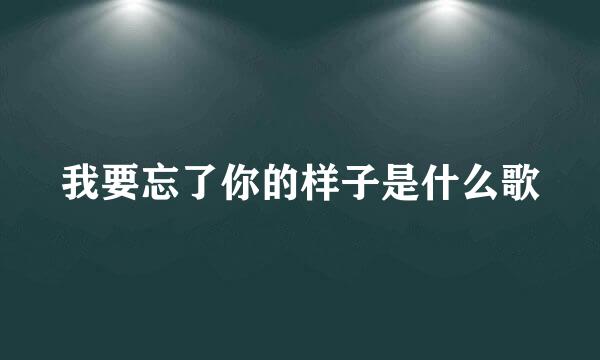 我要忘了你的样子是什么歌