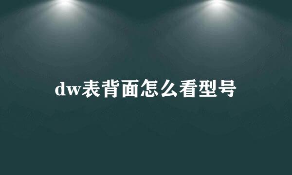 dw表背面怎么看型号