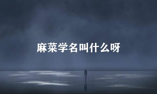 麻菜学名叫什么呀