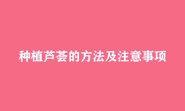种植芦荟的方法及注意事项