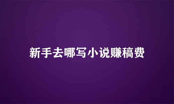 新手去哪写小说赚稿费