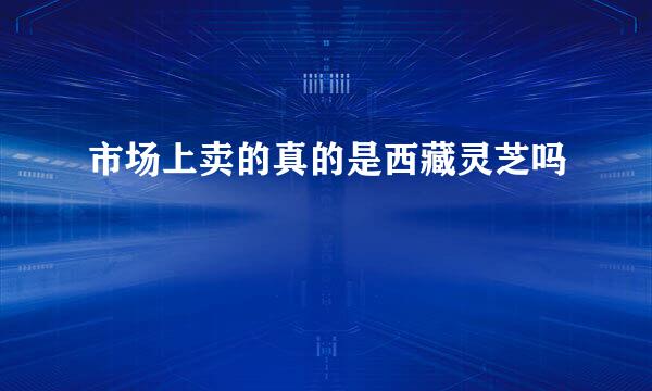 市场上卖的真的是西藏灵芝吗