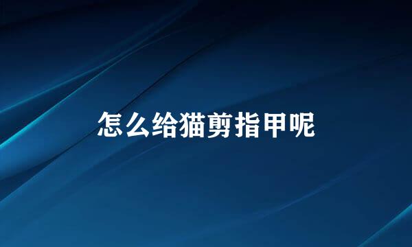 怎么给猫剪指甲呢