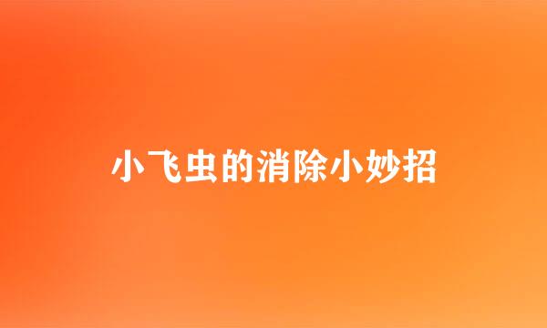 小飞虫的消除小妙招