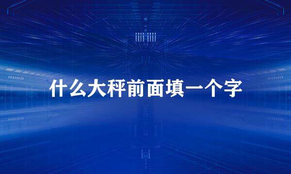 什么大秤前面填一个字