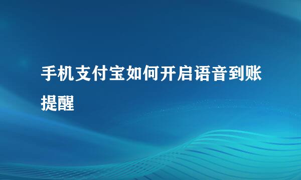 手机支付宝如何开启语音到账提醒