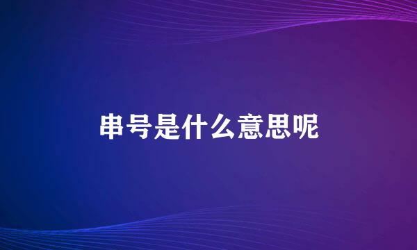串号是什么意思呢