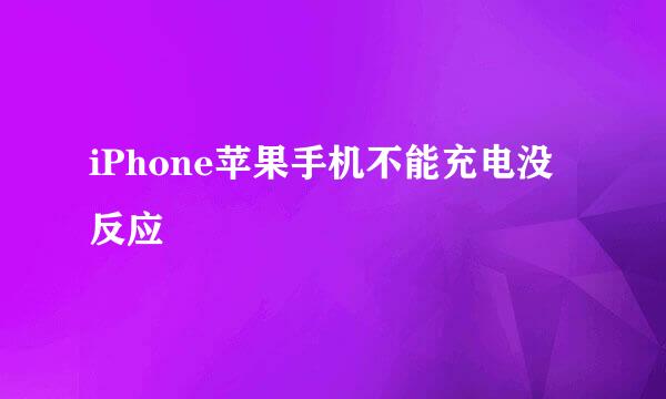 iPhone苹果手机不能充电没反应