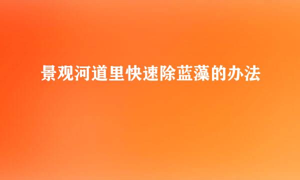 景观河道里快速除蓝藻的办法