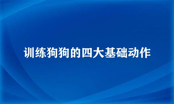 训练狗狗的四大基础动作