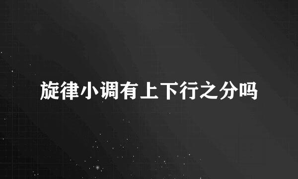 旋律小调有上下行之分吗