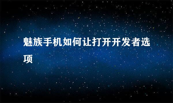 魅族手机如何让打开开发者选项