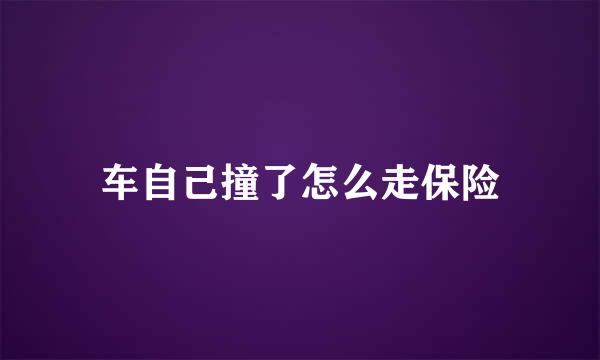 车自己撞了怎么走保险