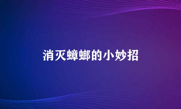 消灭蟑螂的小妙招