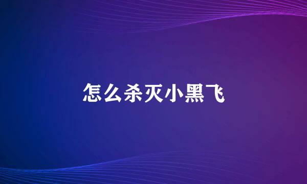 怎么杀灭小黑飞