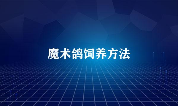 魔术鸽饲养方法