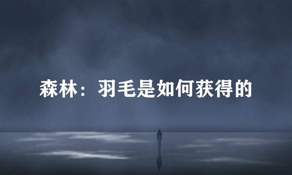 森林：羽毛是如何获得的