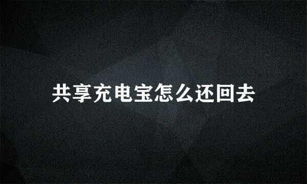 共享充电宝怎么还回去