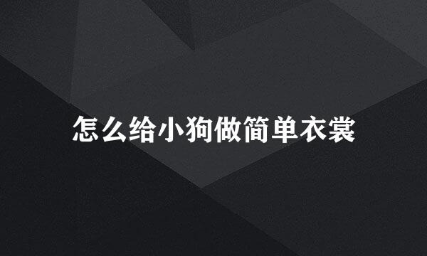 怎么给小狗做简单衣裳