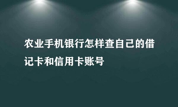 农业手机银行怎样查自己的借记卡和信用卡账号