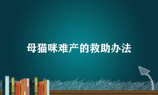 母猫咪难产的救助办法
