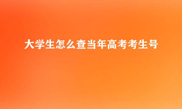 大学生怎么查当年高考考生号