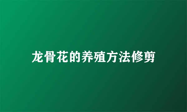 龙骨花的养殖方法修剪
