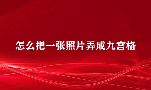 怎么把一张照片弄成九宫格