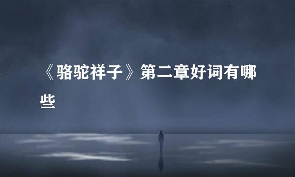 《骆驼祥子》第二章好词有哪些