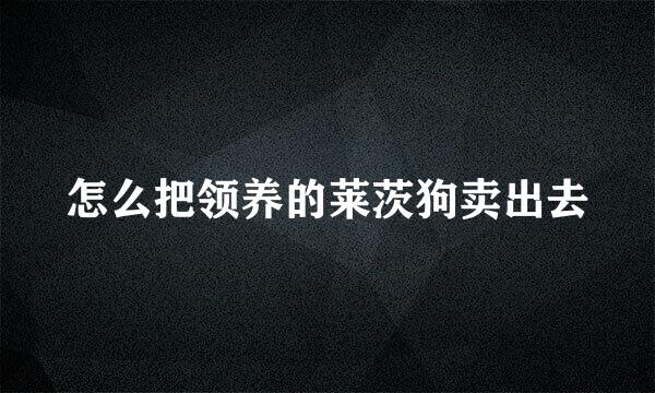 怎么把领养的莱茨狗卖出去