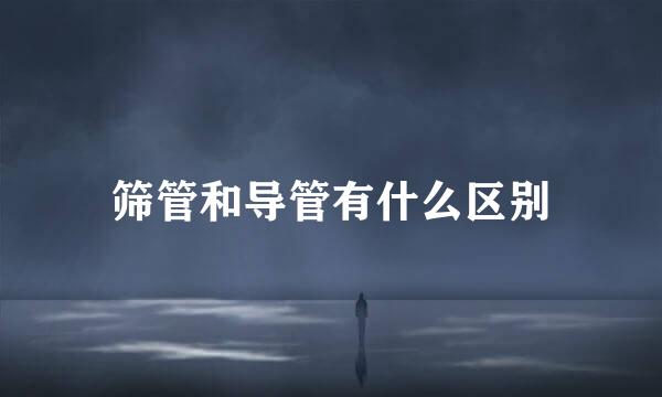 筛管和导管有什么区别