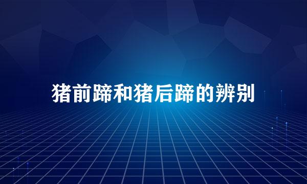 猪前蹄和猪后蹄的辨别