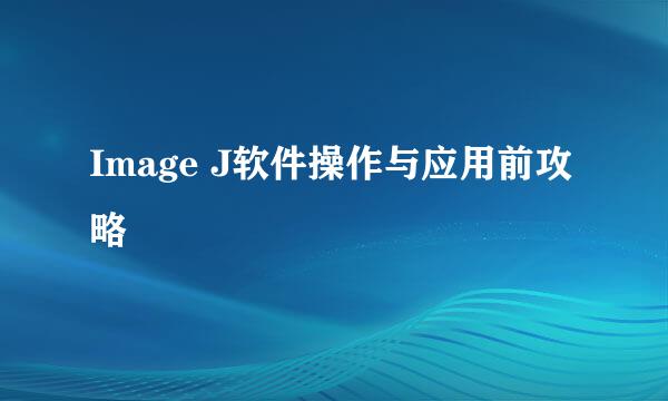 Image J软件操作与应用前攻略