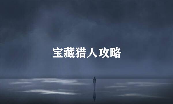 宝藏猎人攻略