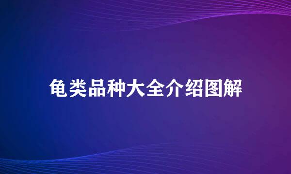 龟类品种大全介绍图解